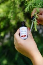 Almond oil - Image 6